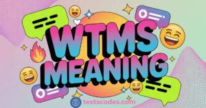 WTMS Meaning in Text A Complete Guide About Viral Slang