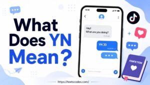 YN Meaning What It Means in Text, Slang and TikTok 2026