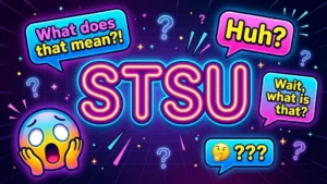 STSU Meaning in Text