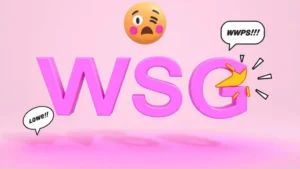 wsg meaning in text